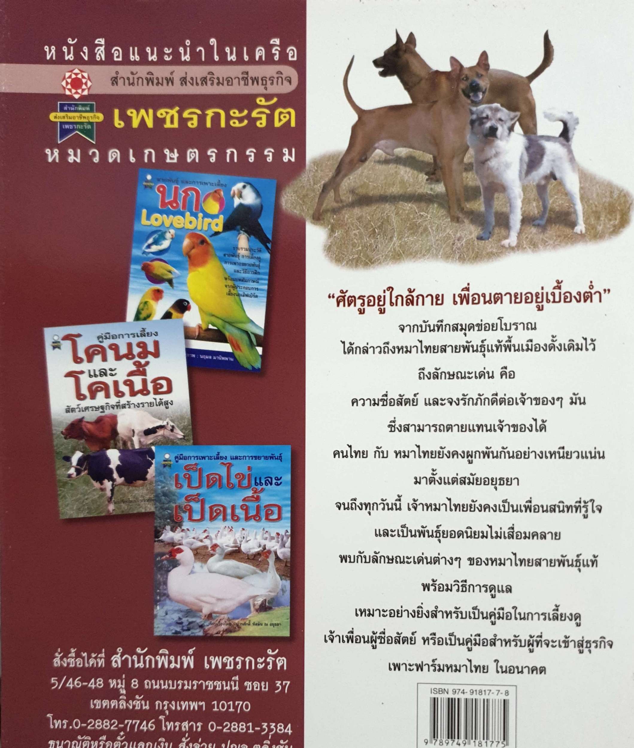 หมาไทย Thai Dog / นฤมล มานิพพาน