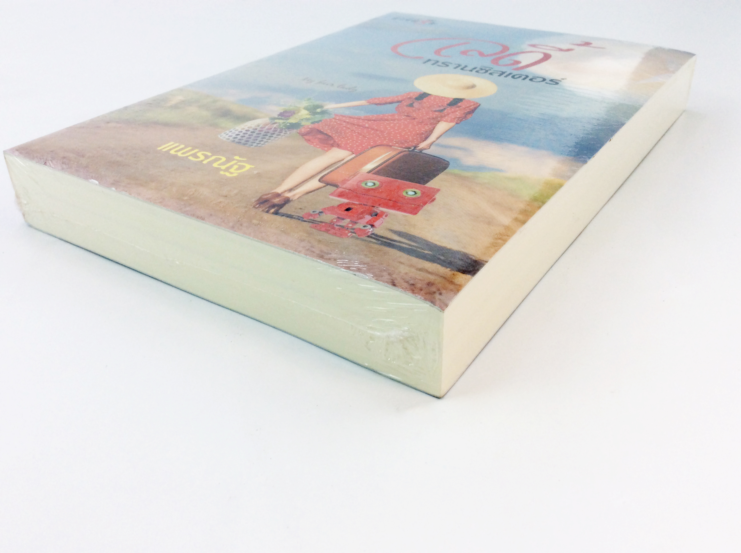 เลดี้ทรานซิลเตอร์ นิยาย นิยายลดราคา หนังสือ นิยาย