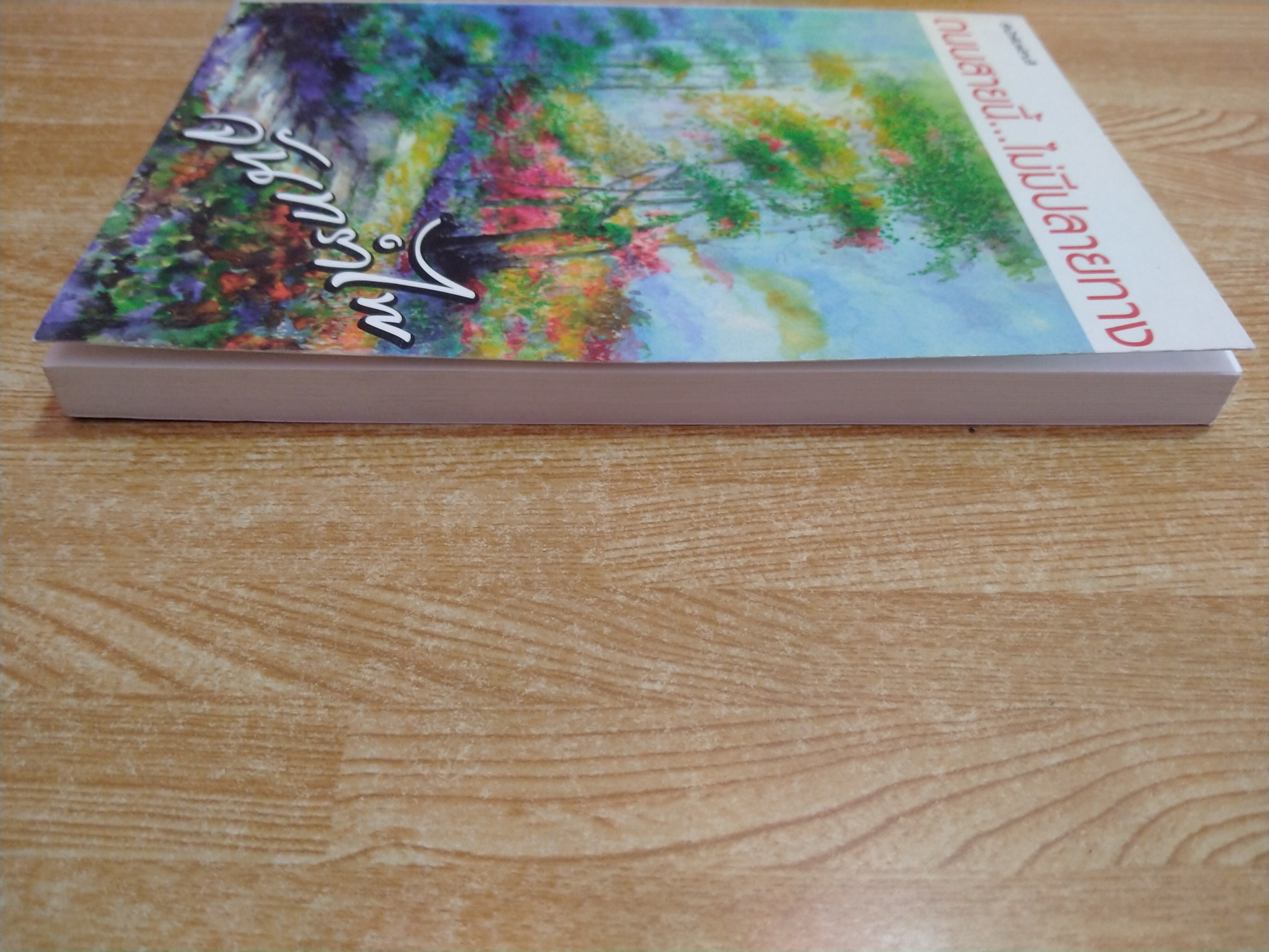 ถนนสายนี้...ไม่มีปลายทาง