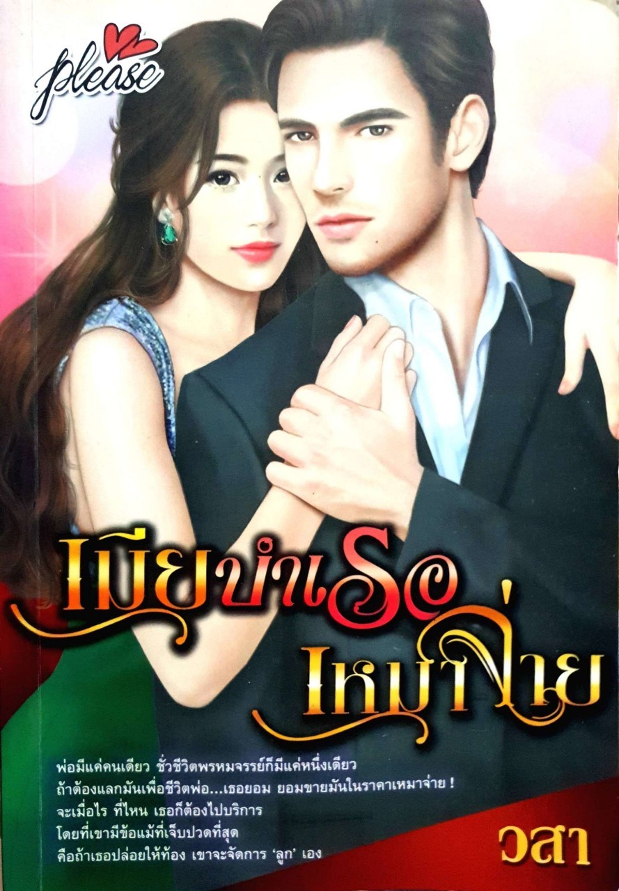 นิยายโรมานซ์ (18+) “ เมียบำเรอ เหมาจ่าย “ : วสา
