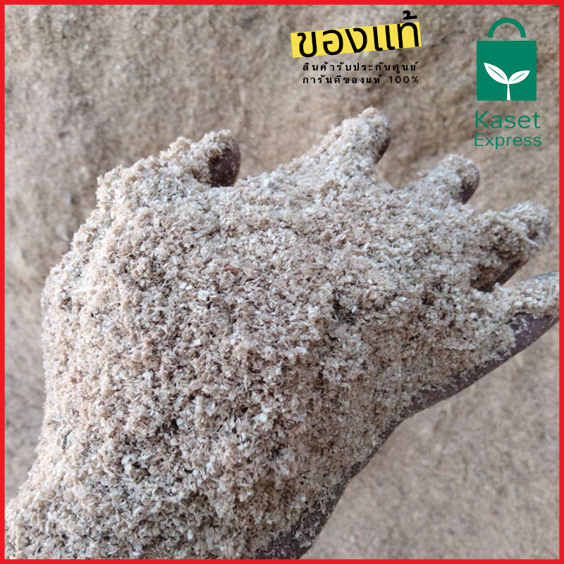 จำหน่ายขี้เลื่อยไม้ยางพารา สำหรับเพาะเห็ด คุณภาพดี ราคาส่งจากโรงงาน!