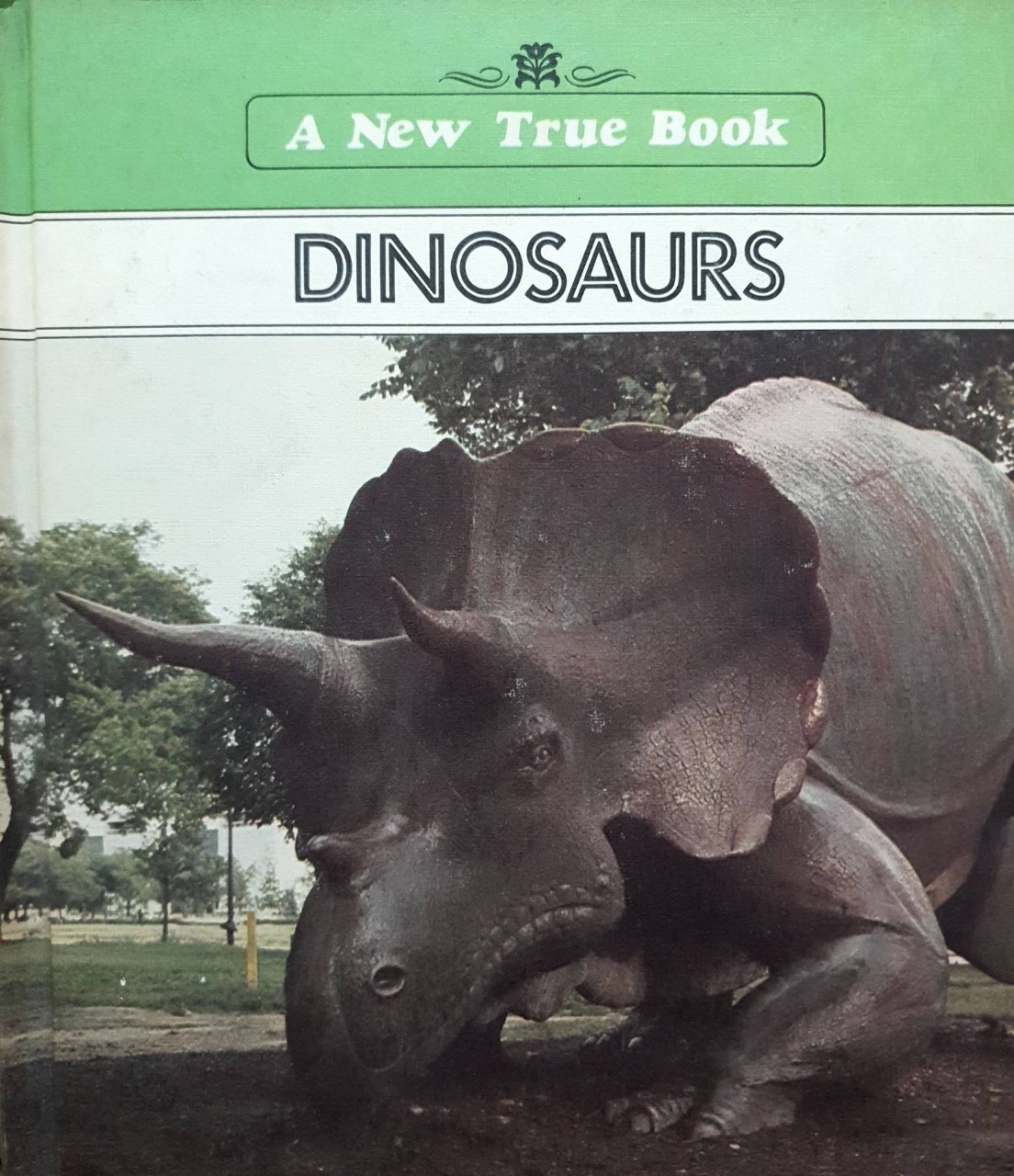 A New True Book : DINOSAURS