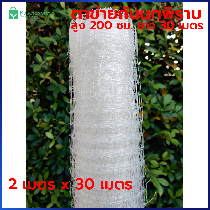 ตาข่ายกันนกพิราบ 2x30 เมตร สีใส - ตาข่ายพลาสติก ตาข่ายกันนก ตาข่ายล้อมไก่ ตาข่ายกันนก ตาข่ายล้อมรั้ว