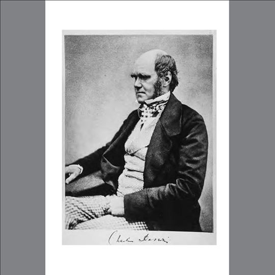 กำเนิดสปีชีส์ The Origin of Species พิมพ์ 6