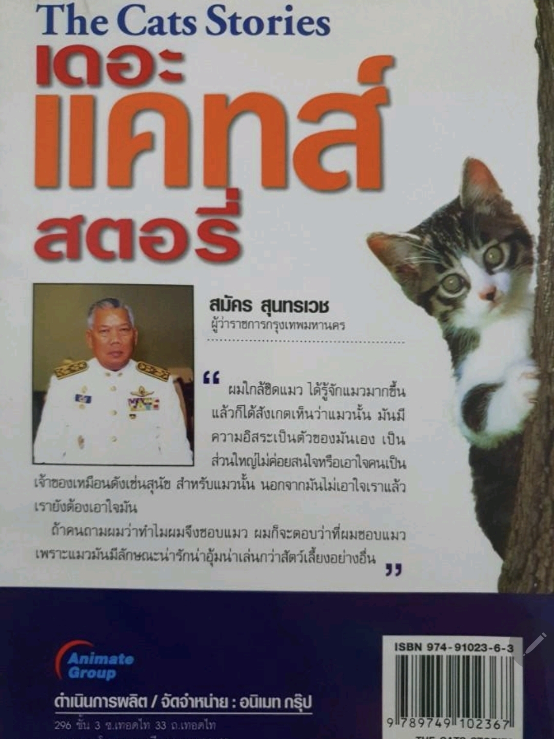 เดอะ แคทส์ สตอรี่ The Cats Stories tik104