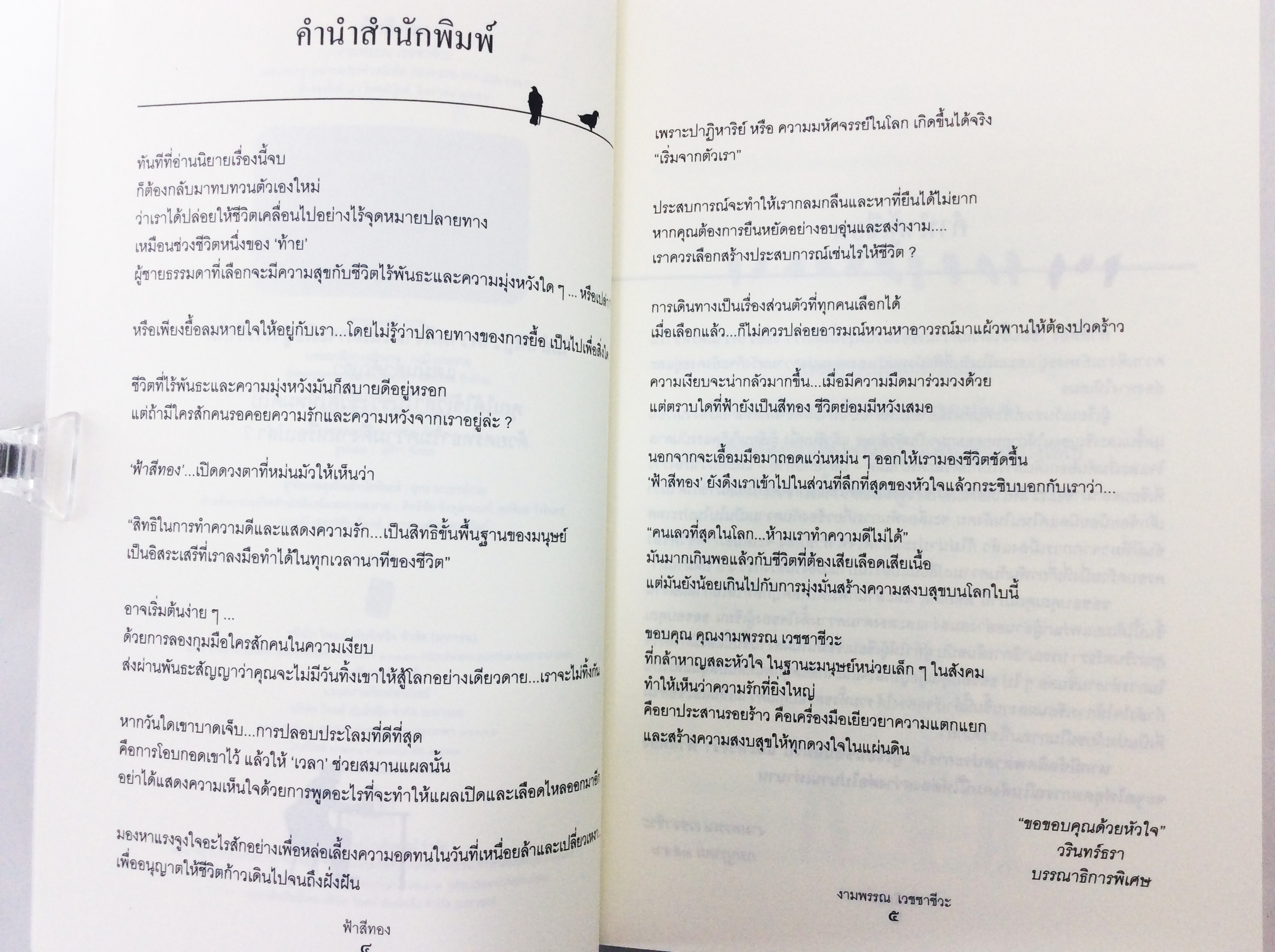 ฟ้าสีทอง ความงดงามของชีวิต อาจเป็นการเดินทางไกล หนังสือนิยาย วรรณกรรม