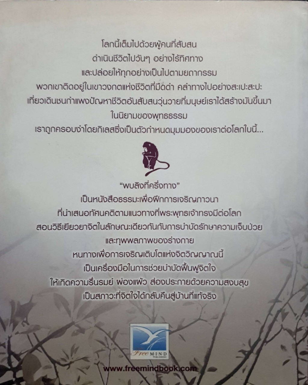 พบลิงที่ครึ่งทาง