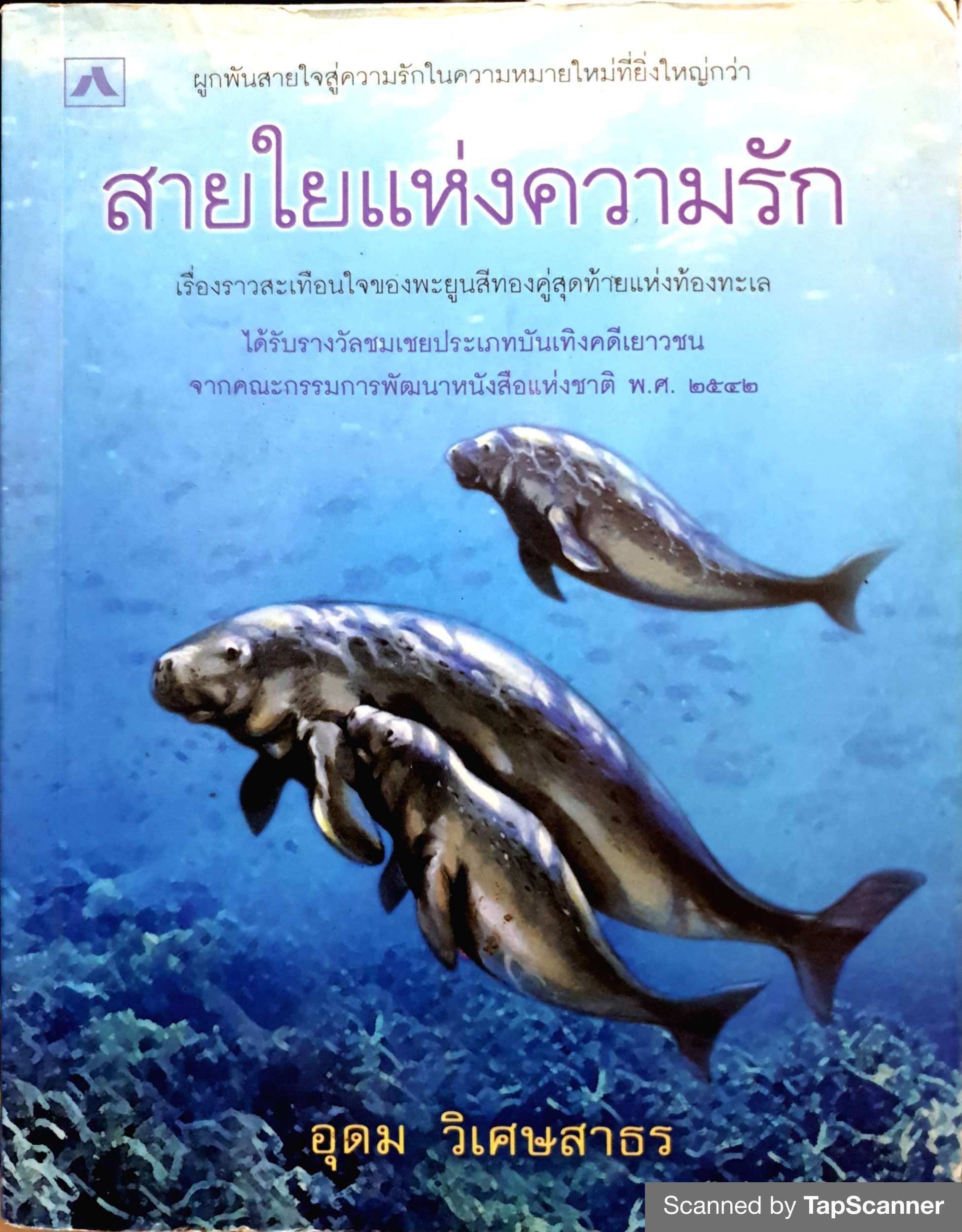 สายใยแห่งความรัก