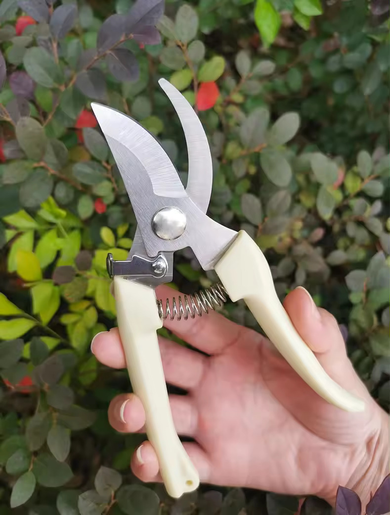 กรรไกรตัดกิ่ง ใบมีดสแตนเลส ที่จับ PE รุ่น SW-41 กรรไกรตัดแต่งกิ่งไม้ ขนาด 8 นิ้ว