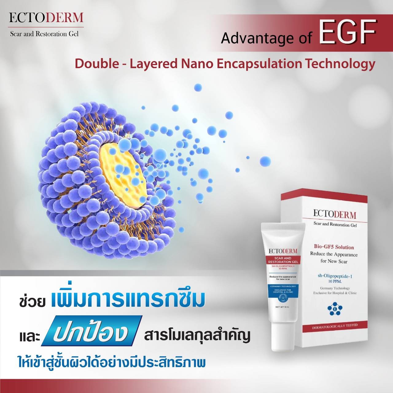 ECTODERM Scar and Rejuvenating Gel ผลิตภัณฑ์ที่ช่วยสมานแผล และสร้างเซลล์ผิวให้สมบูรณ์แข็งแรง