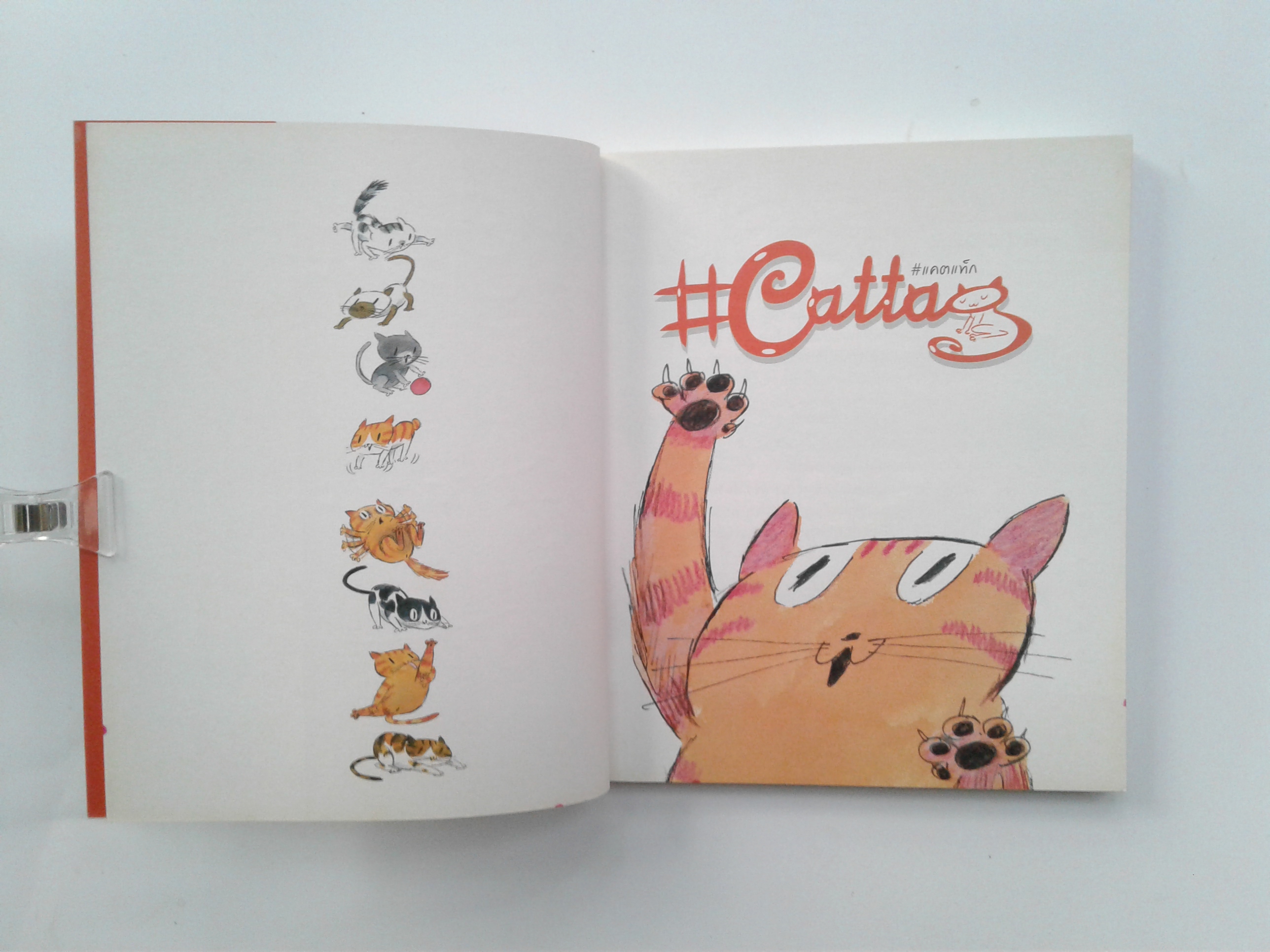 #แคตแท็ก #Cattag #Cartoonist แก็กเขียนสไตล์อินเตอร์