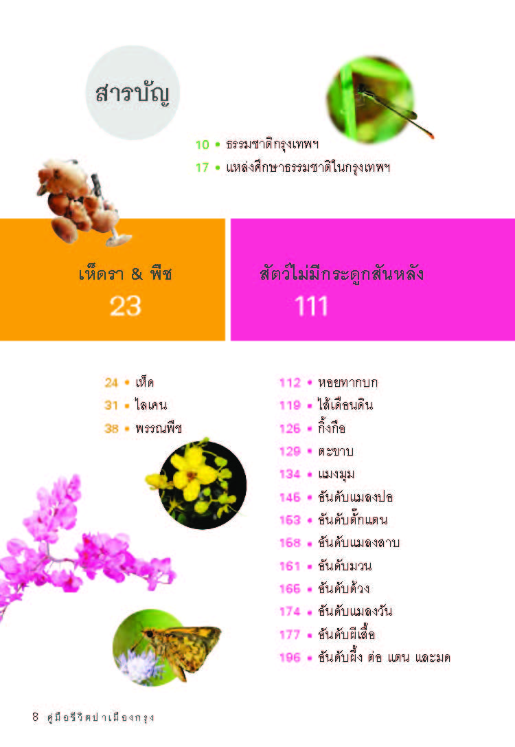 คู่มือชีวิตป่าเมืองกรุง มูลนิธิโลกสีเขียว