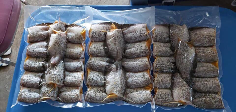 เครื่องซีลสูญญากาศ รุ่น DQ 260 C SERIES