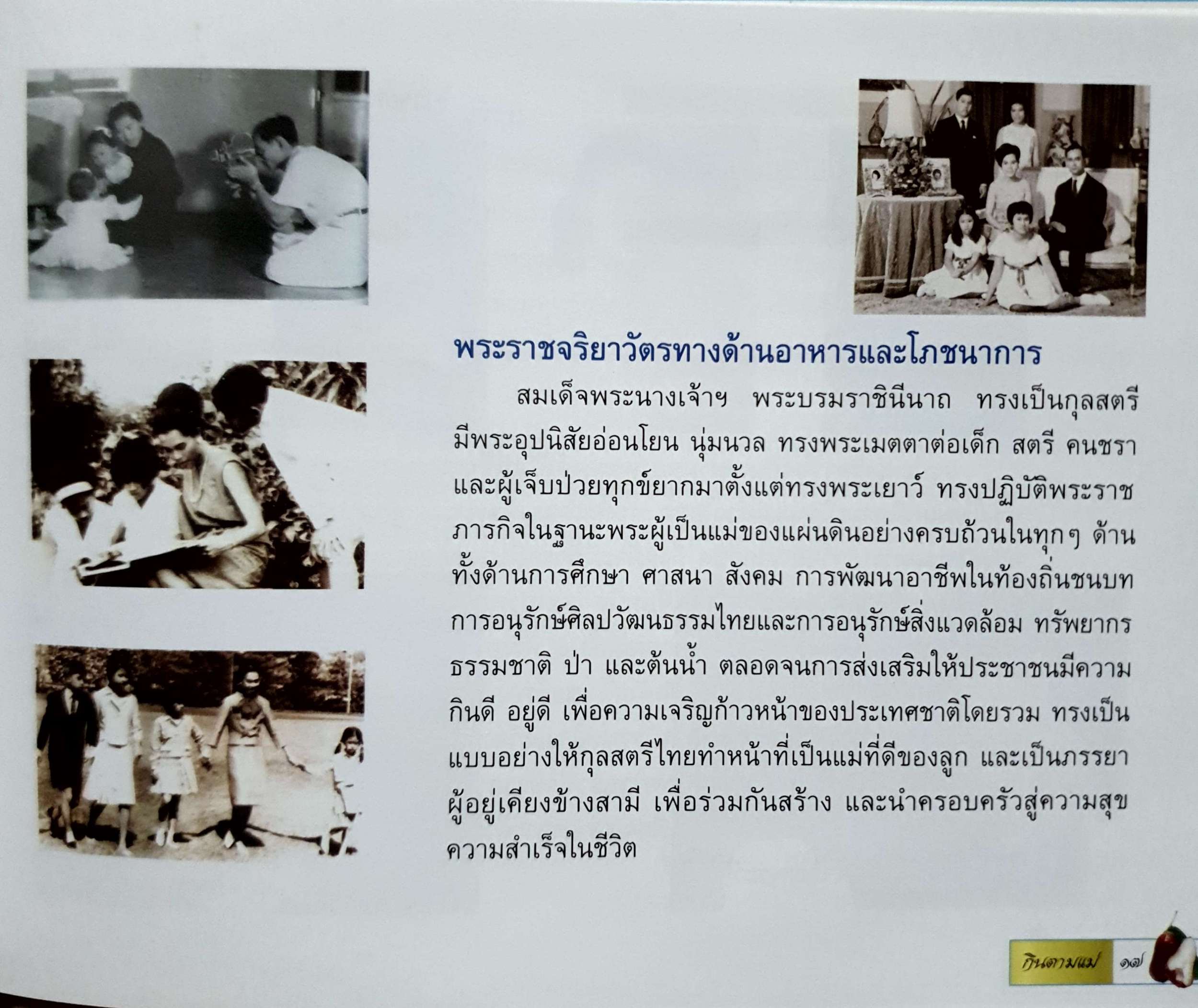 กินตามแม่ (ปกแข็ง)