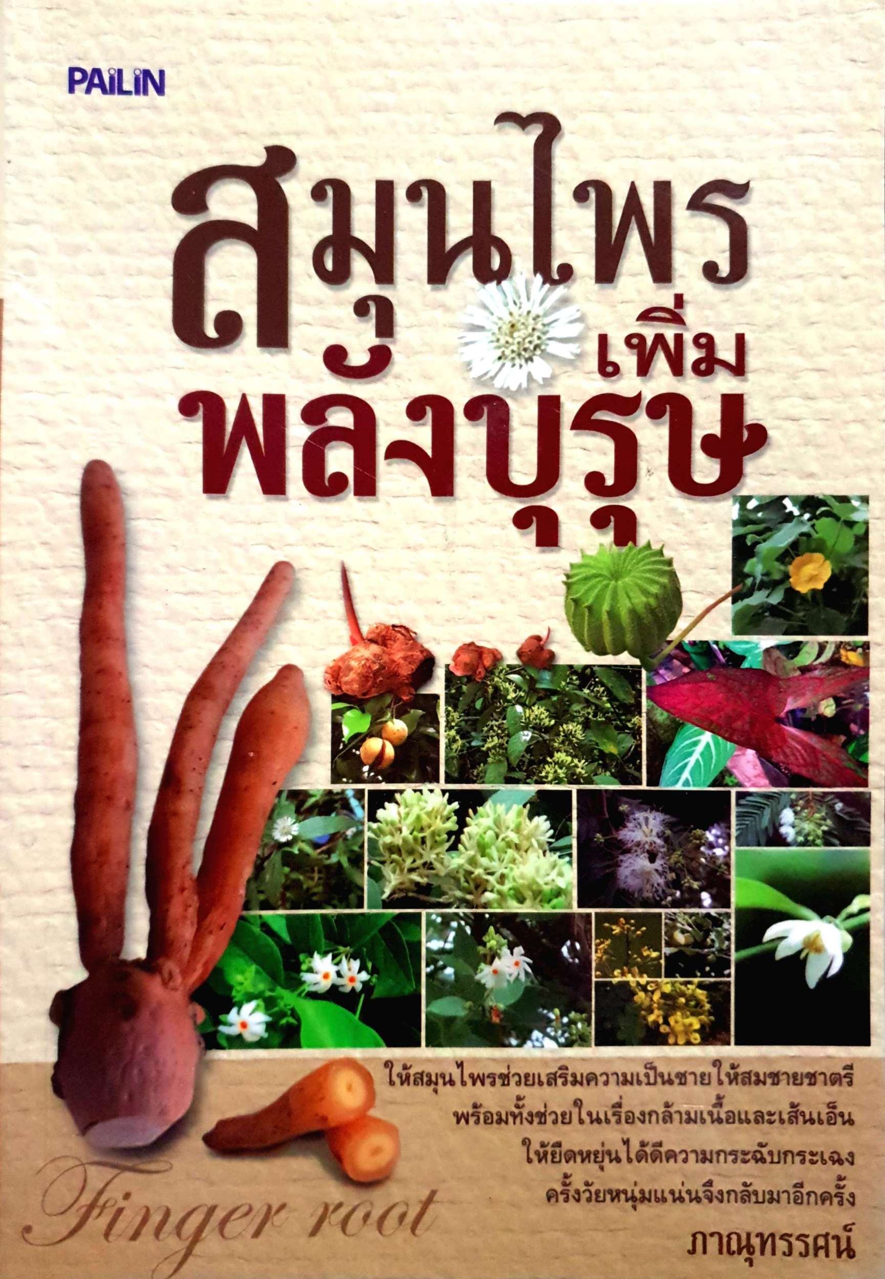 สมุนไพรเพิ่มพลังบุรุษ ภาณุทรรศน์