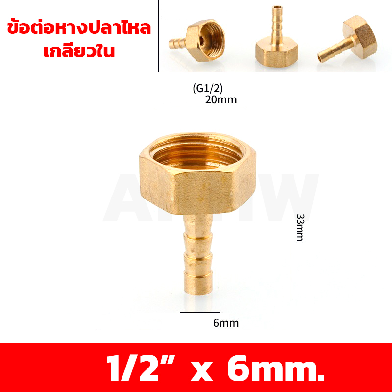 ข้อต่อหางปลาไหลเกลียวใน/เกลียวนอก ทองเหลือง KingsMan ขนาด 1/2นิ้ว 3/4นิ้ว [ขายปลีก/ส่ง]