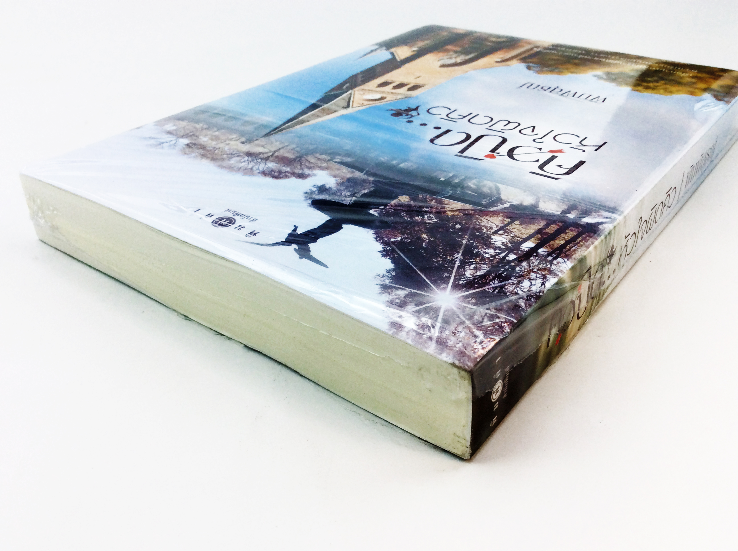 คิวปิด….หัวใจผิดคิว นิยาย นิยายลดราคา หนังสือนิยาย