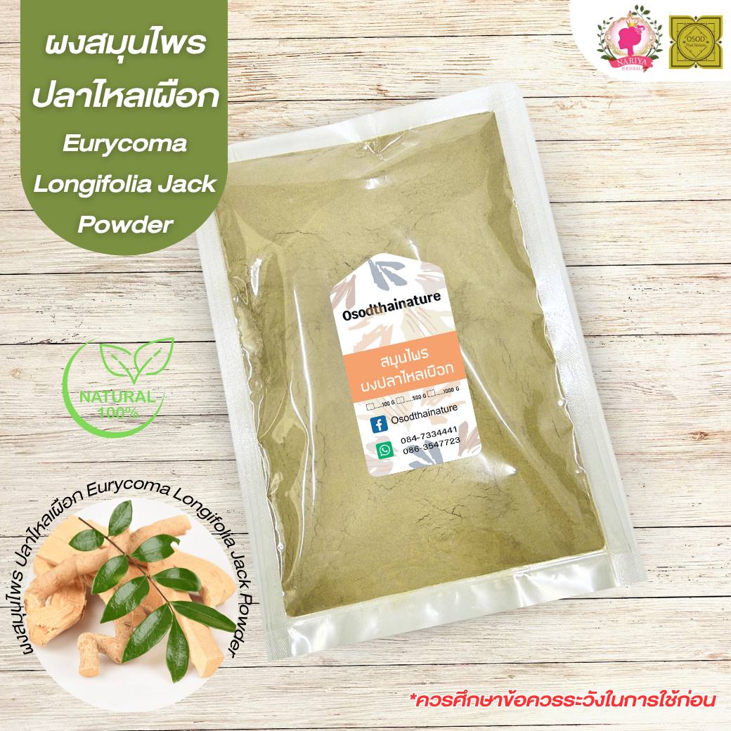 ผงปลาไหลเผือก (Eurycoma Longifolia Jack) ขนาด 500 1000 กรัม รากปลาไหลเผือก บดละเอียด สมุนไพร แท้ 100 % FG-HBP-061