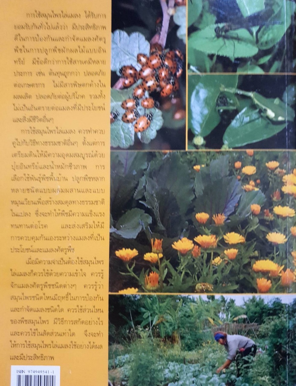 สมุนไพรไล่แมลง : กองบรรณาธิการเกษตรกรรมธรรมชาติ