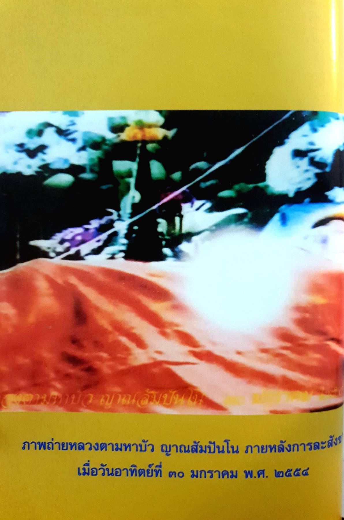 บันทึกปัจฉิมอาพาธหลวงตามหาบัว