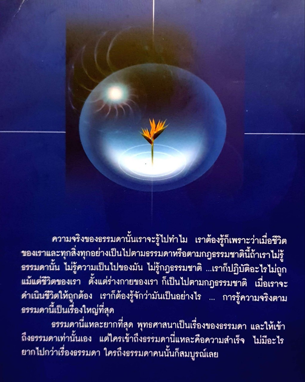 คู่มือชีวิต