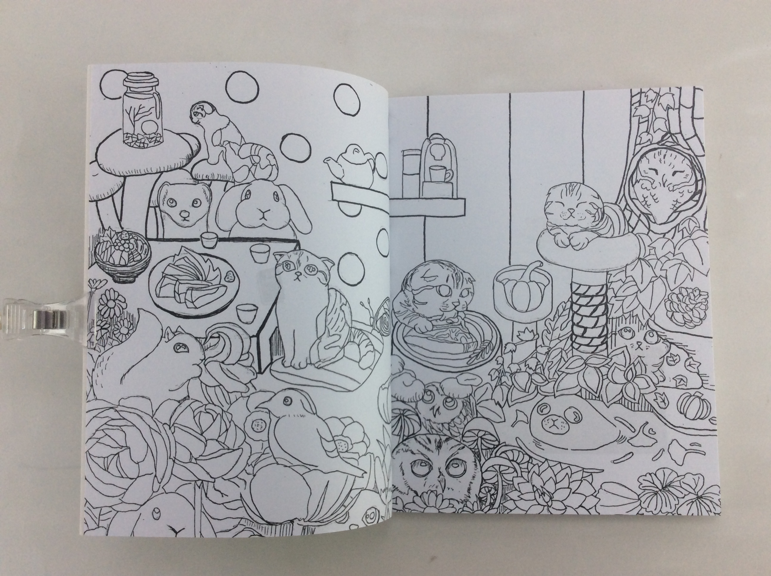 เม้าแมว แล้วคุณจะหลงรัก ทิกกุ และ มิ้ง เจ้าของวีรกรรมสุดน่าฟัด หนังสือ สารคดี สัตว์เลี้ยง