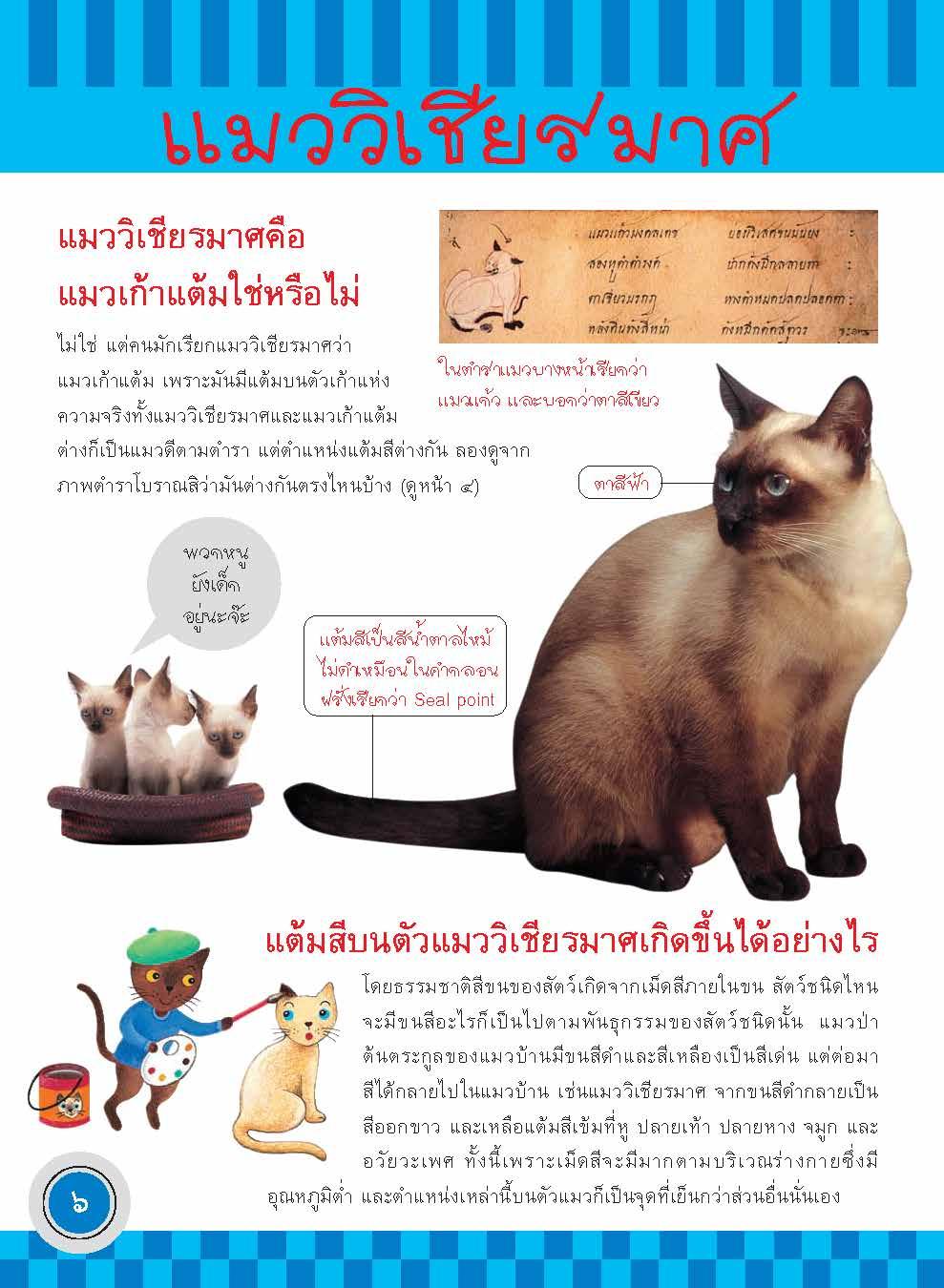 ภูมิใจไทย-แมวไทย(อาเซียน)