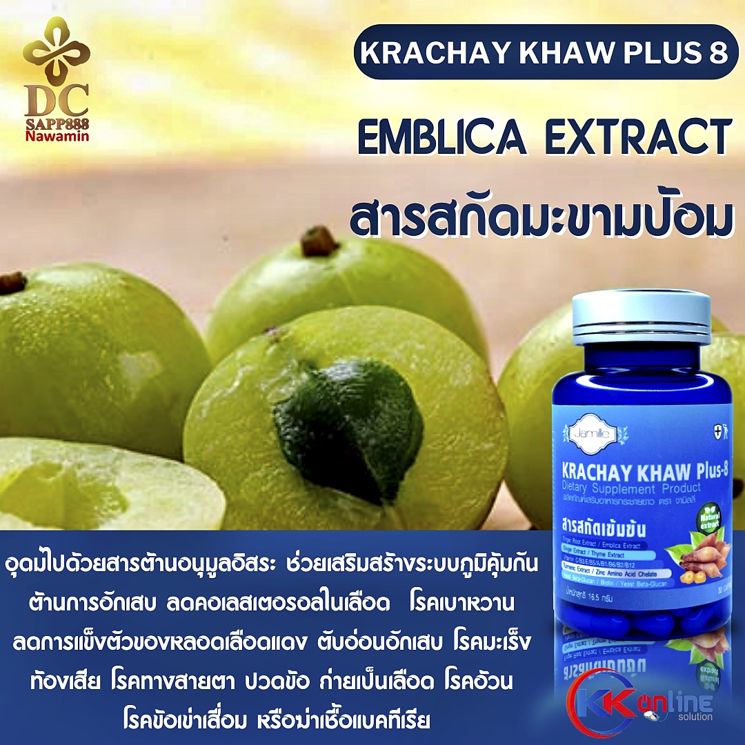 กระชายขาว,กระชายขาวพลัส8,กระชายขาว พลัส 8,กระชายขาว พลัส8,Krachay khaw plus 8,เสริมสร้างภูมิคุ้มกัน,ยับยั้งไวรัส,โตวิด19,covid19,sapp888 กระชายขาว,กระชายขาวพลัส8,กระชายขาว พลัส 8,กระชายขาว พลัส8,Krachay khaw plus 8,เสริมสร้างภูมิคุ้มกัน,ยับยั้งไวรัส,โตวิด19,covid19,sapp888