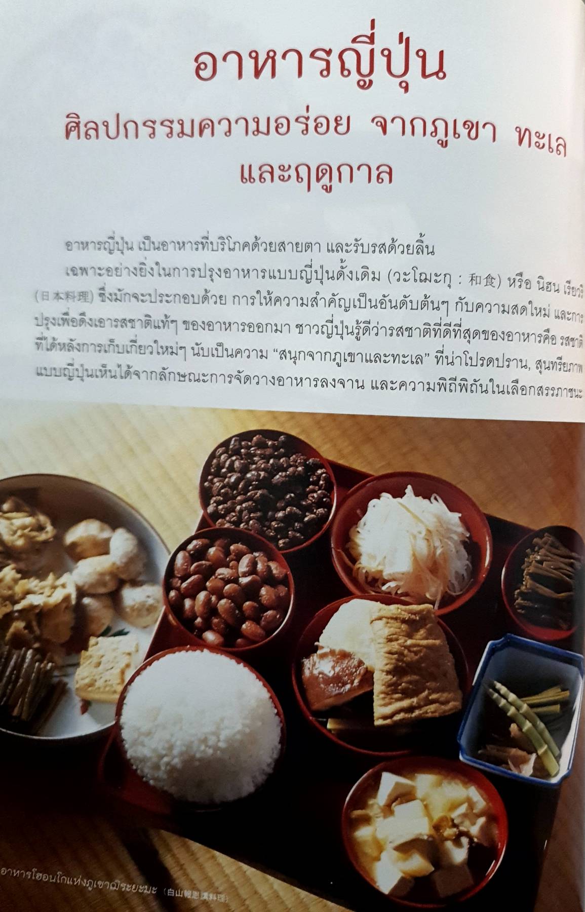 Japanese Foods ศิลปกรรมความอร่อยจากดินแดนซาคุระ