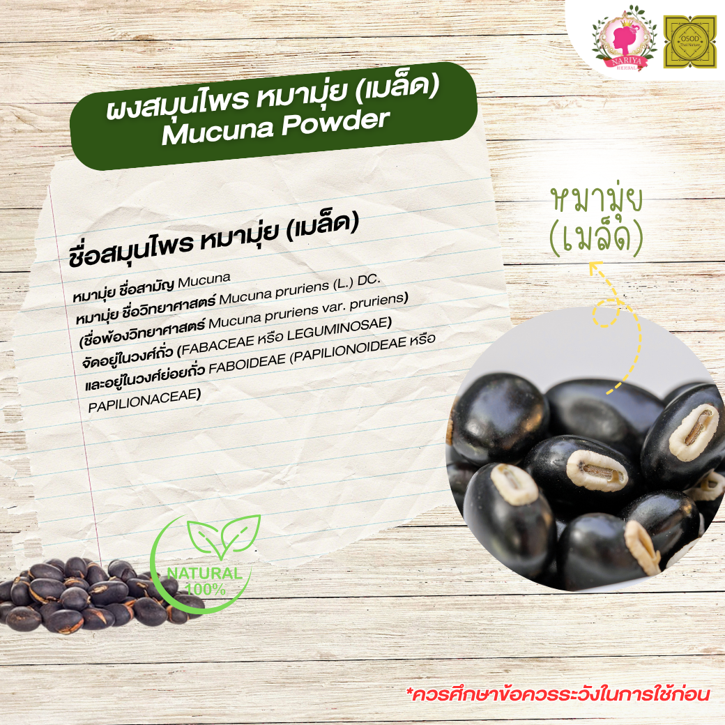 ผงหมามุ่ย (Mucuna powder) ขนาด 500 1000 กรัม หมามุ่ย บดละเอียด สมุนไพร แท้ 100% FG-HBP-099