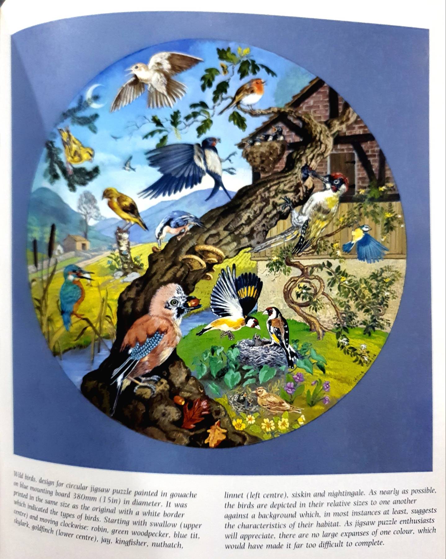 Drawing and Painting Animals : Cecile Curtis (Hardcover) 1990