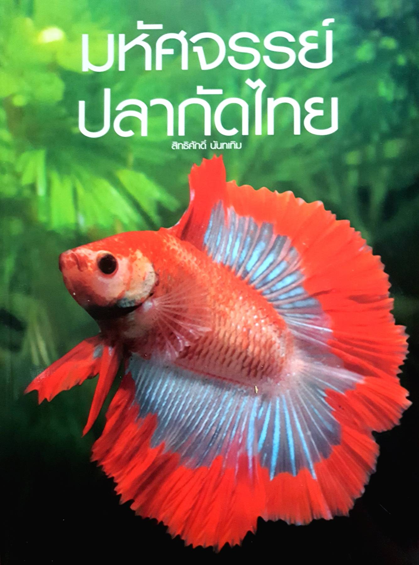 มหัศจรรย์ ปลากัดไทย ผู้เขียน สิทธิศักดิ์ นันทเทิม