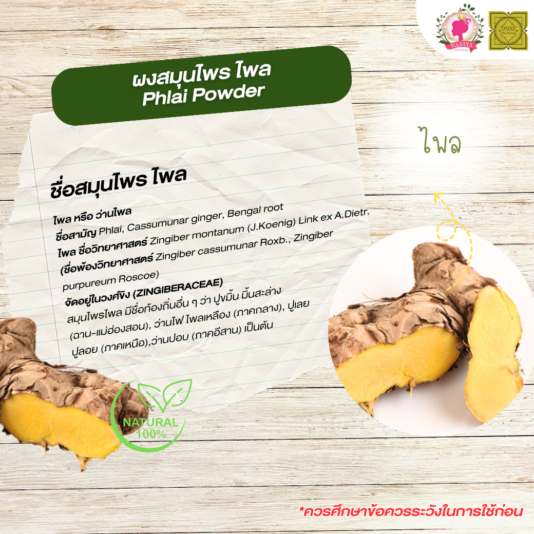 ผงไพล (Plai Powder) ขนาด 500 1000 กรัม ไพล บดละเอียด สมุนไพร แท้ 100% FG-HBP-067