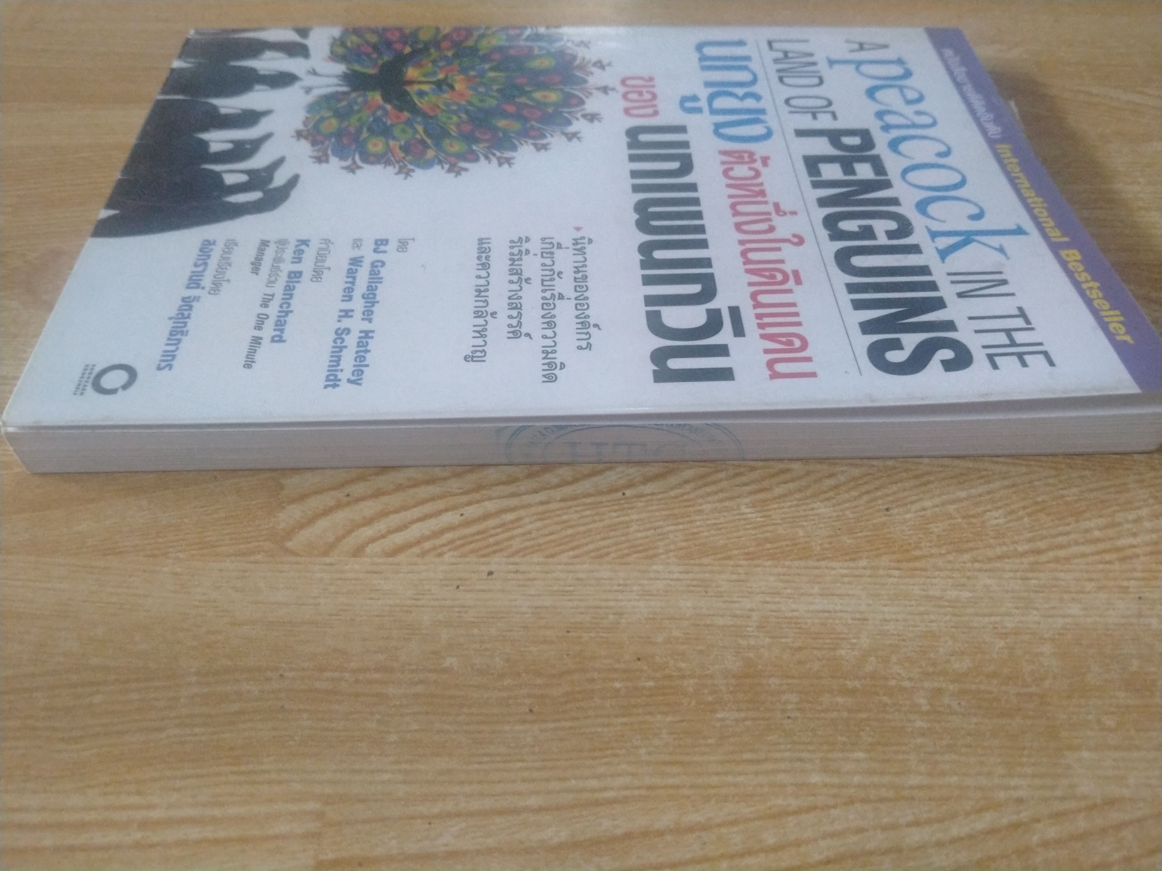 นกยูงตัวหนึ่งในดินแดนของนกเพนกวิน