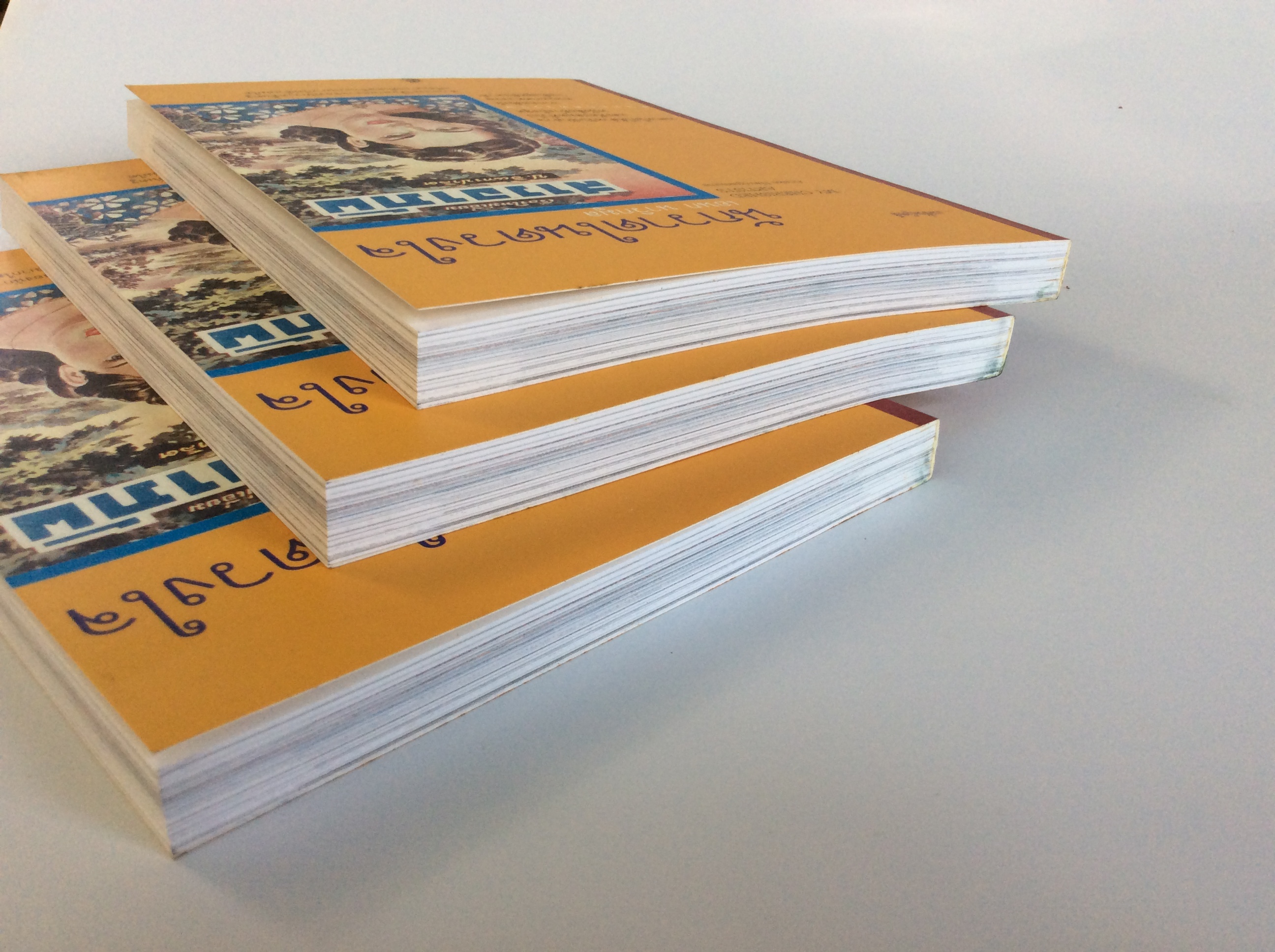 นักวาดในดวงใจ ชำระประวัติและผลงานของนักวาดชั้นครู หนังสือ ชีวประวัติ บุคคล