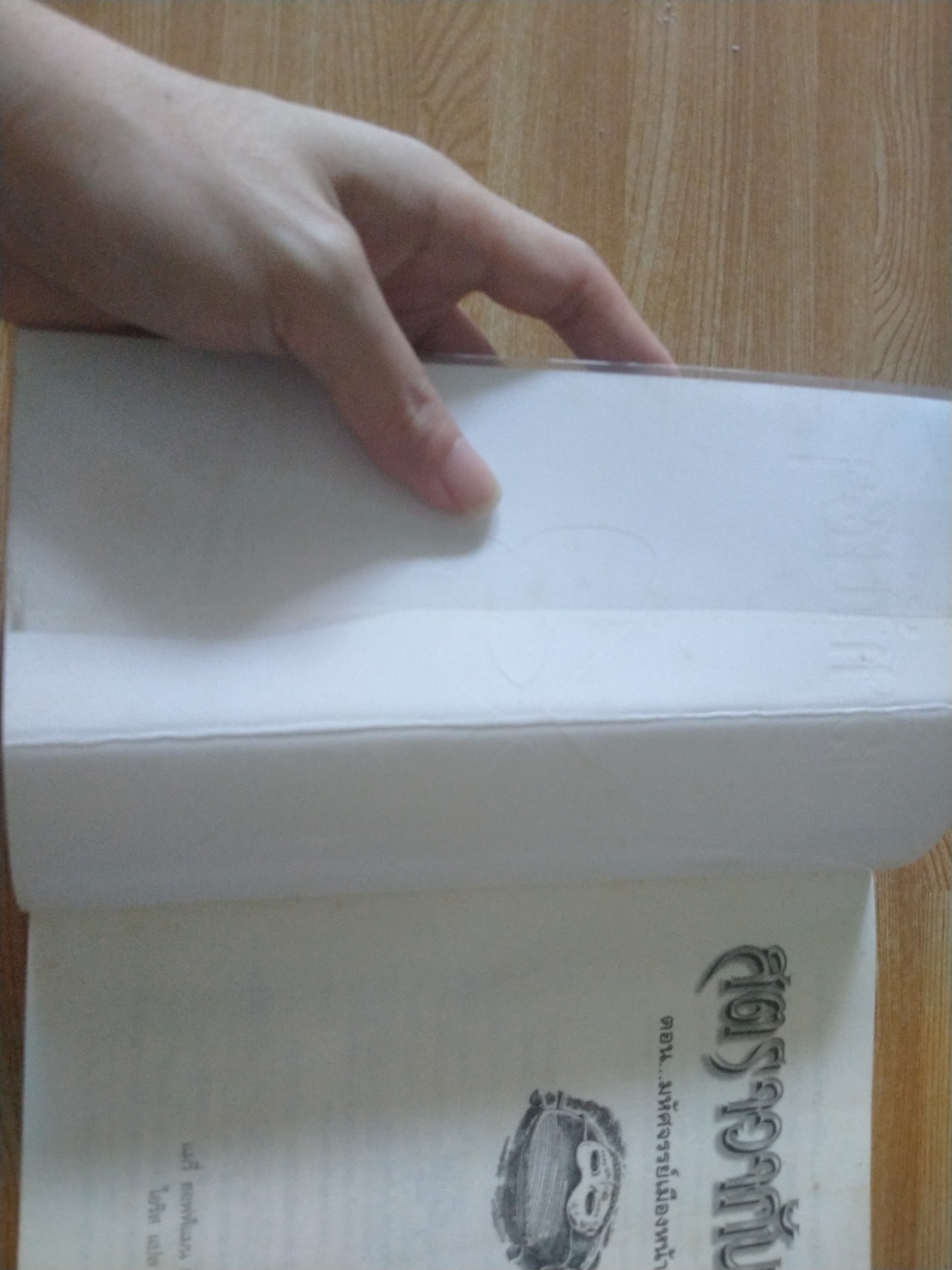 สตราวากันซา ตอน ...มหัศจรรย์เมืองหน้ากาก