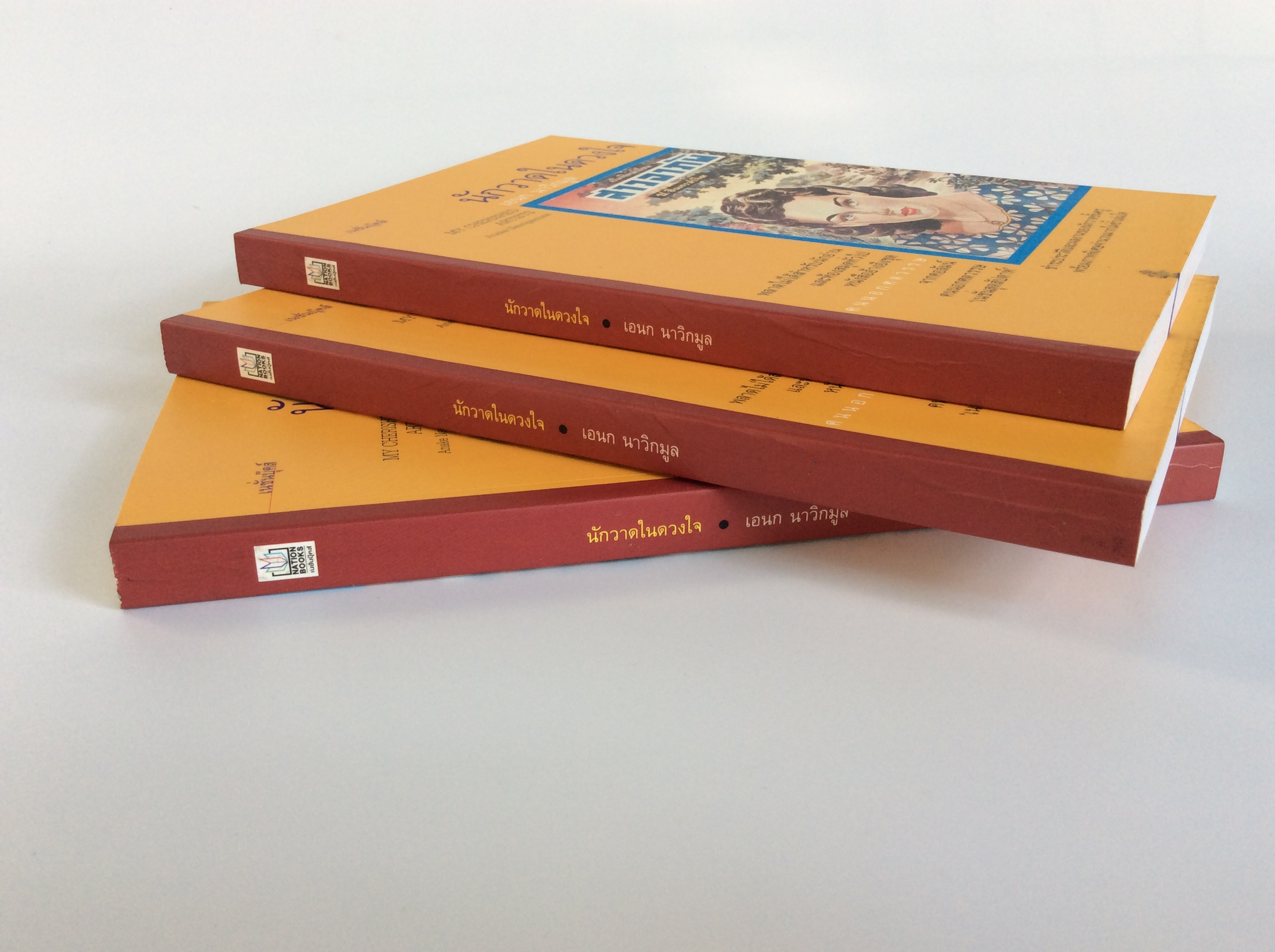 นักวาดในดวงใจ ชำระประวัติและผลงานของนักวาดชั้นครู หนังสือ ชีวประวัติ บุคคล