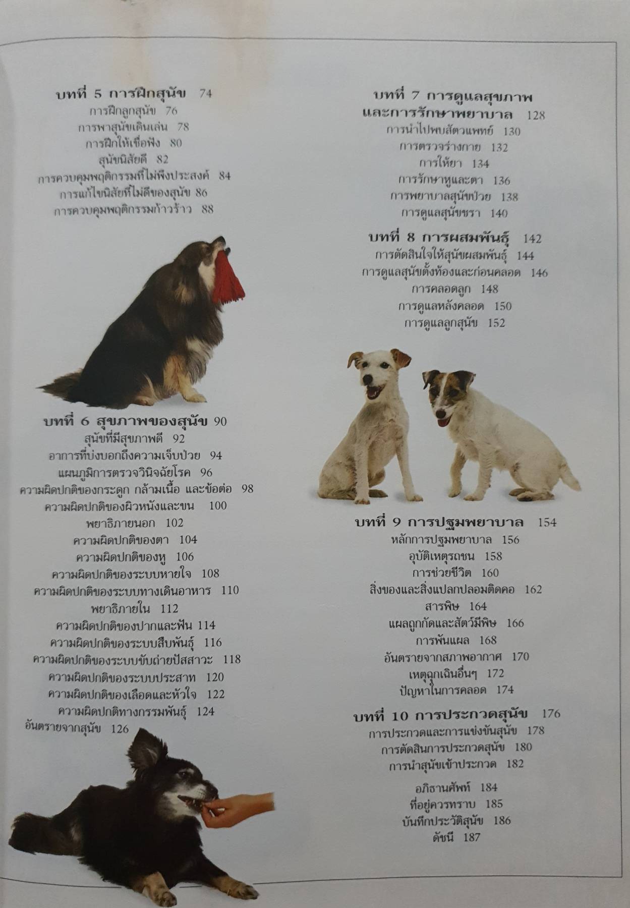 คู่มือดูแลสุนัข ฉบับสมบูรณ์