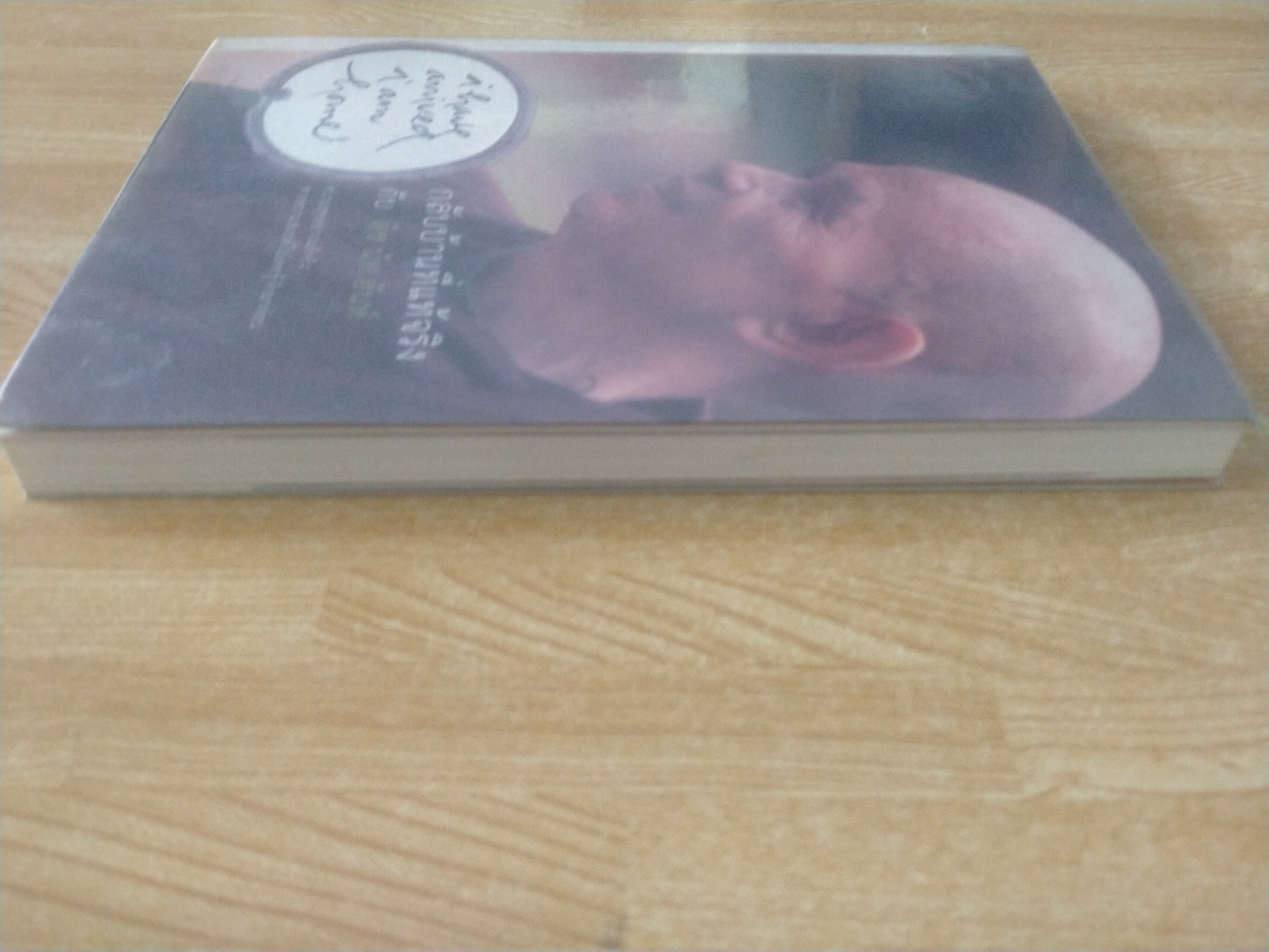 กลับบ้านที่แท้จริง กับ ติช นัท ฮันห์