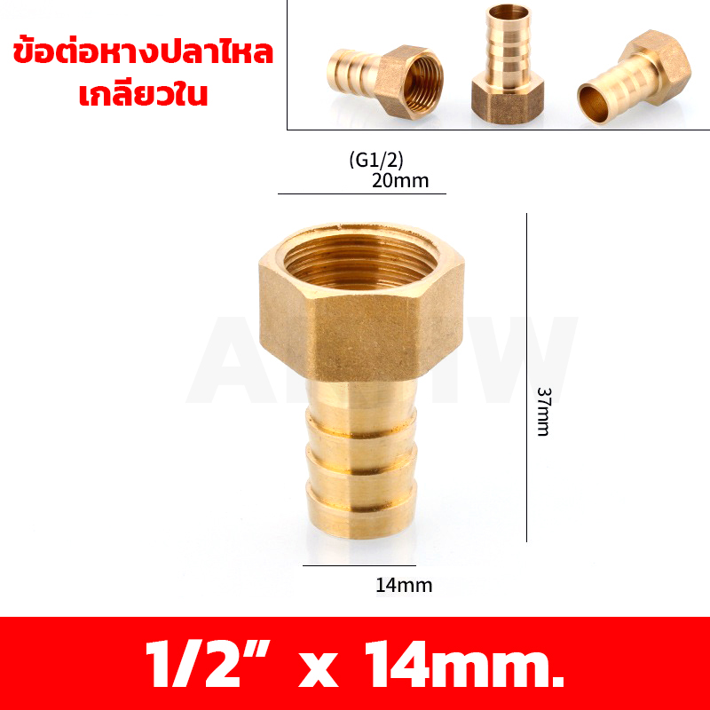 ข้อต่อหางปลาไหลเกลียวใน/เกลียวนอก ทองเหลือง KingsMan ขนาด 1/2นิ้ว 3/4นิ้ว [ขายปลีก/ส่ง]