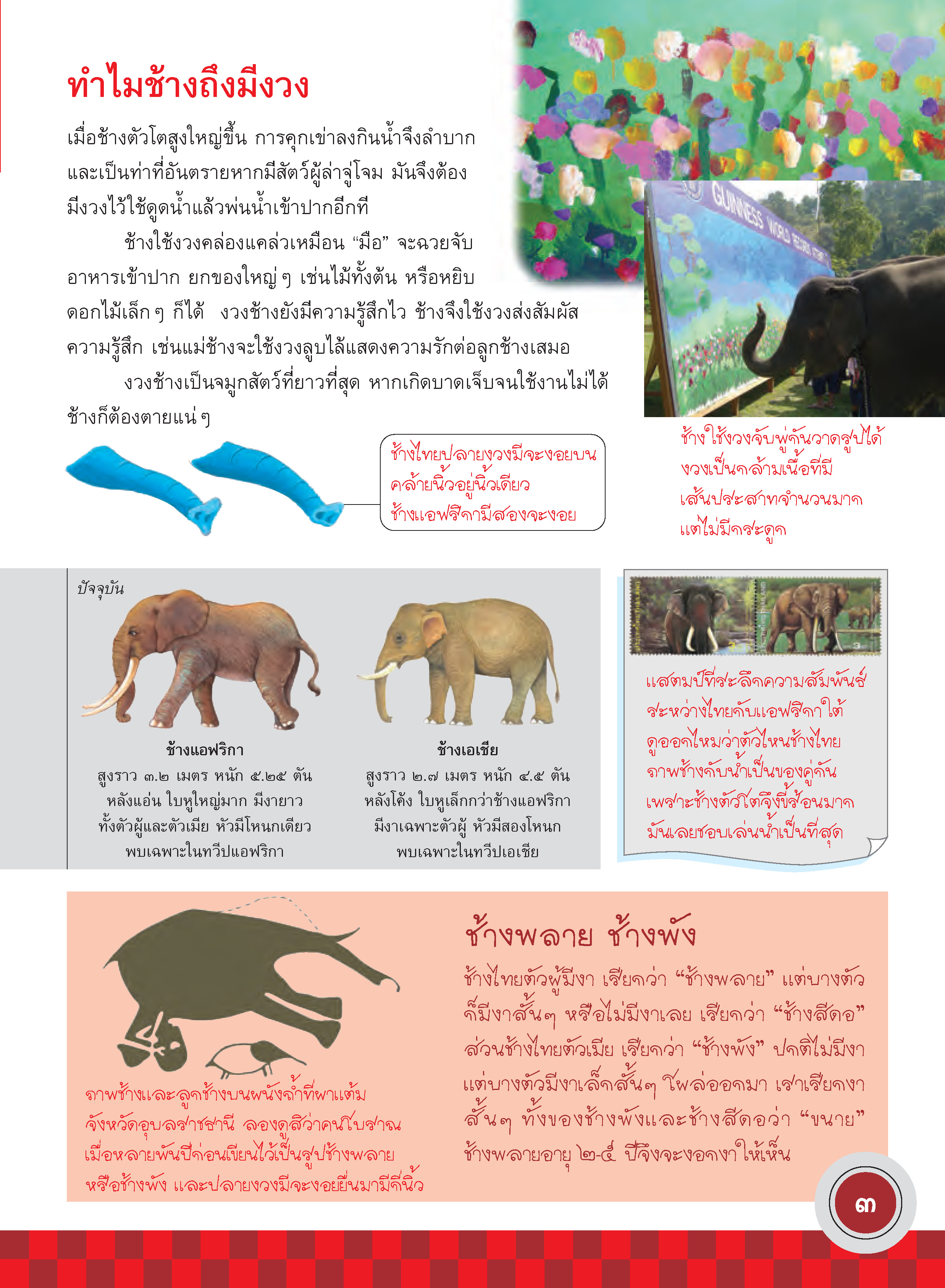 ภูมิใจไทย-ช้างไทย(อาเซียน)