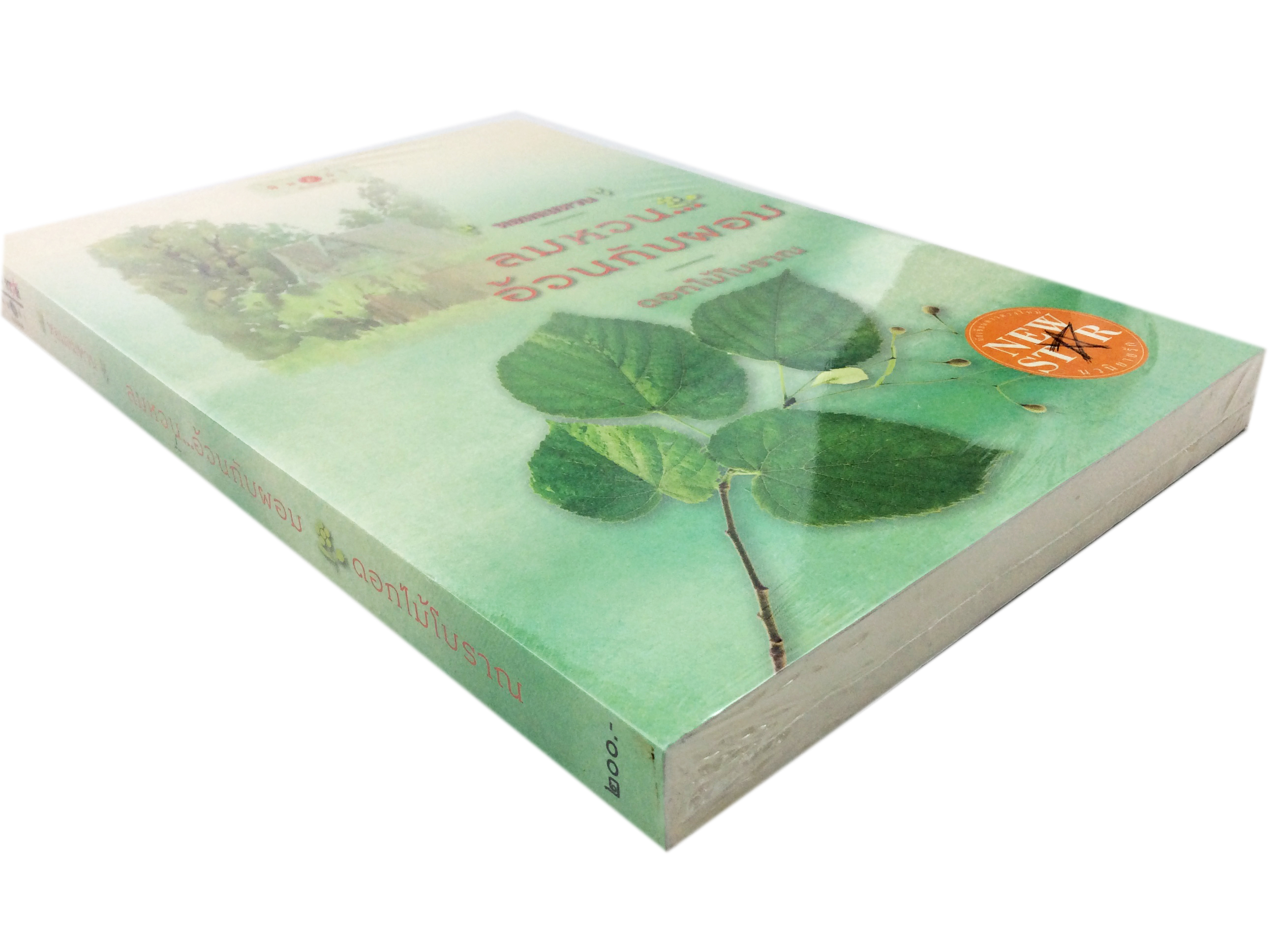 ลมหวนอ้วนกับผอม นิยาย นิยายลดราคา หนังสือนิยาย