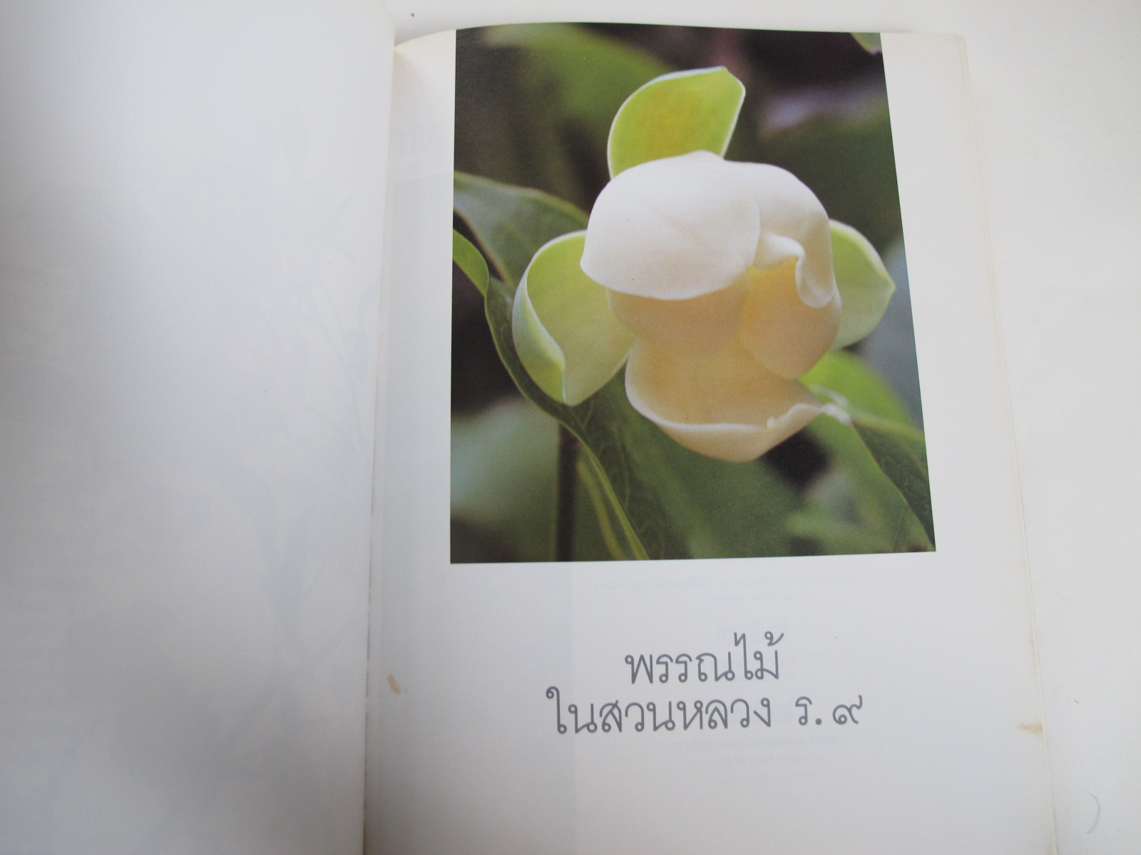 มูลนิธิสวนหลวง ร.9 ร่วมกับกรุงเทพมหานครและประชาชนสร้างสวนสาธารณะแห่งใหม่