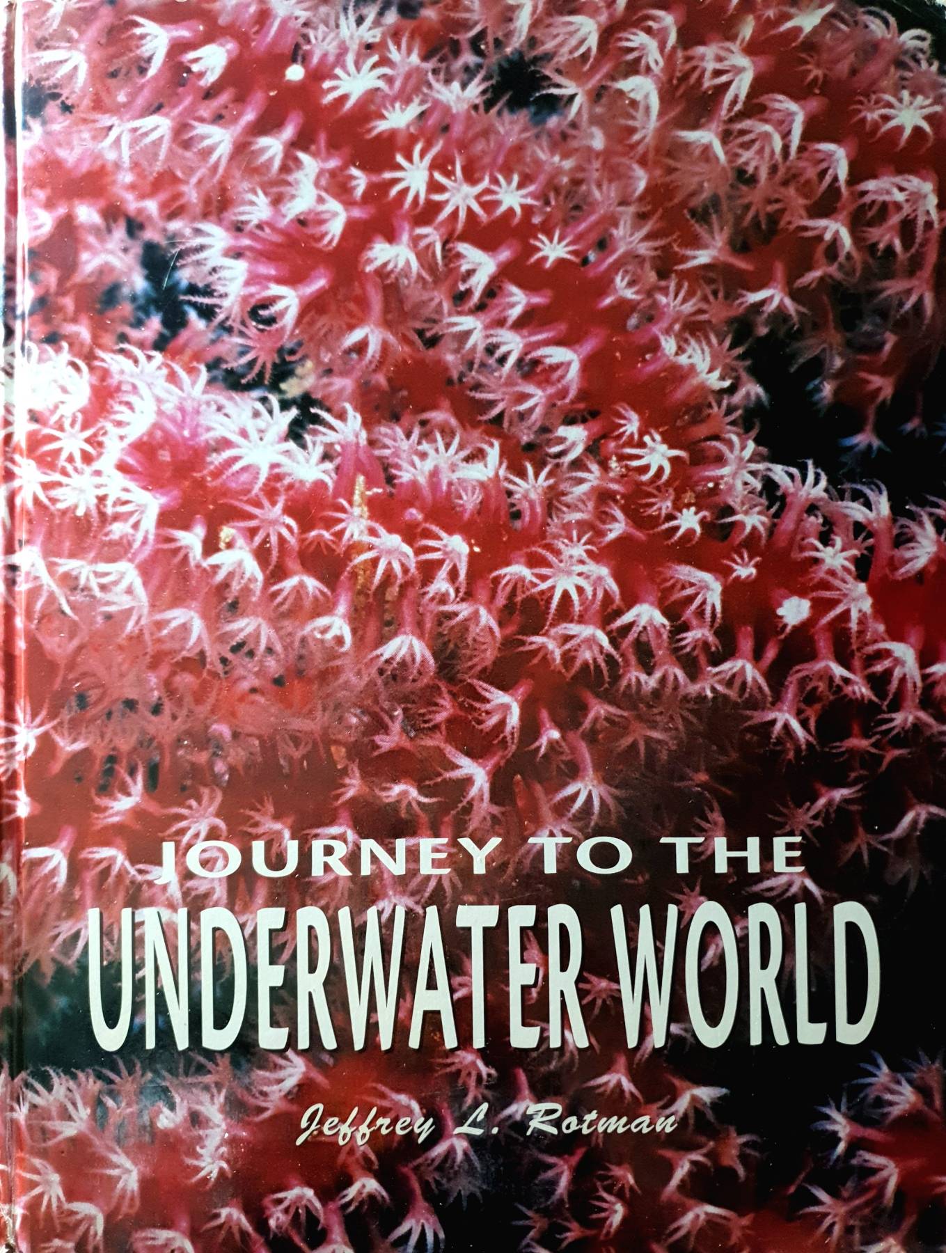 Journey to the Underwater World : Jeffrey L. Rotman (Hardcover)