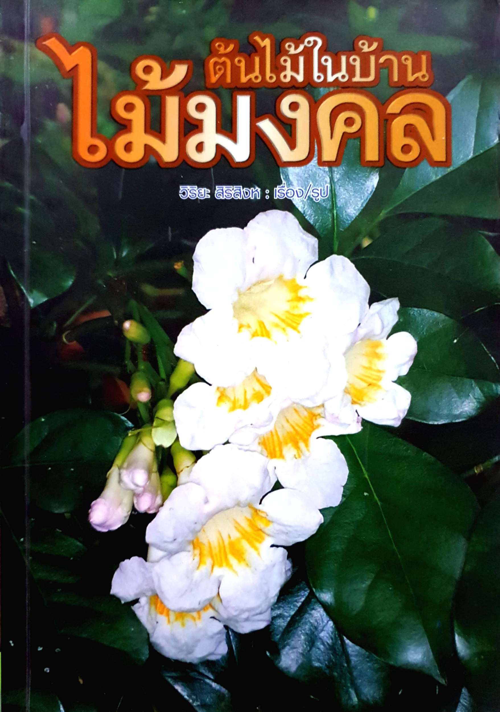 ต้นไม้ในบ้าน ไม้มงคล วิริยะ สิริสิงห์
