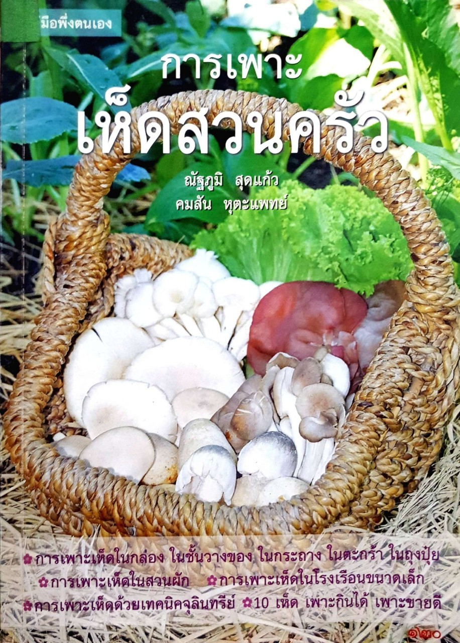 การเพาะเห็ดสวนครัว