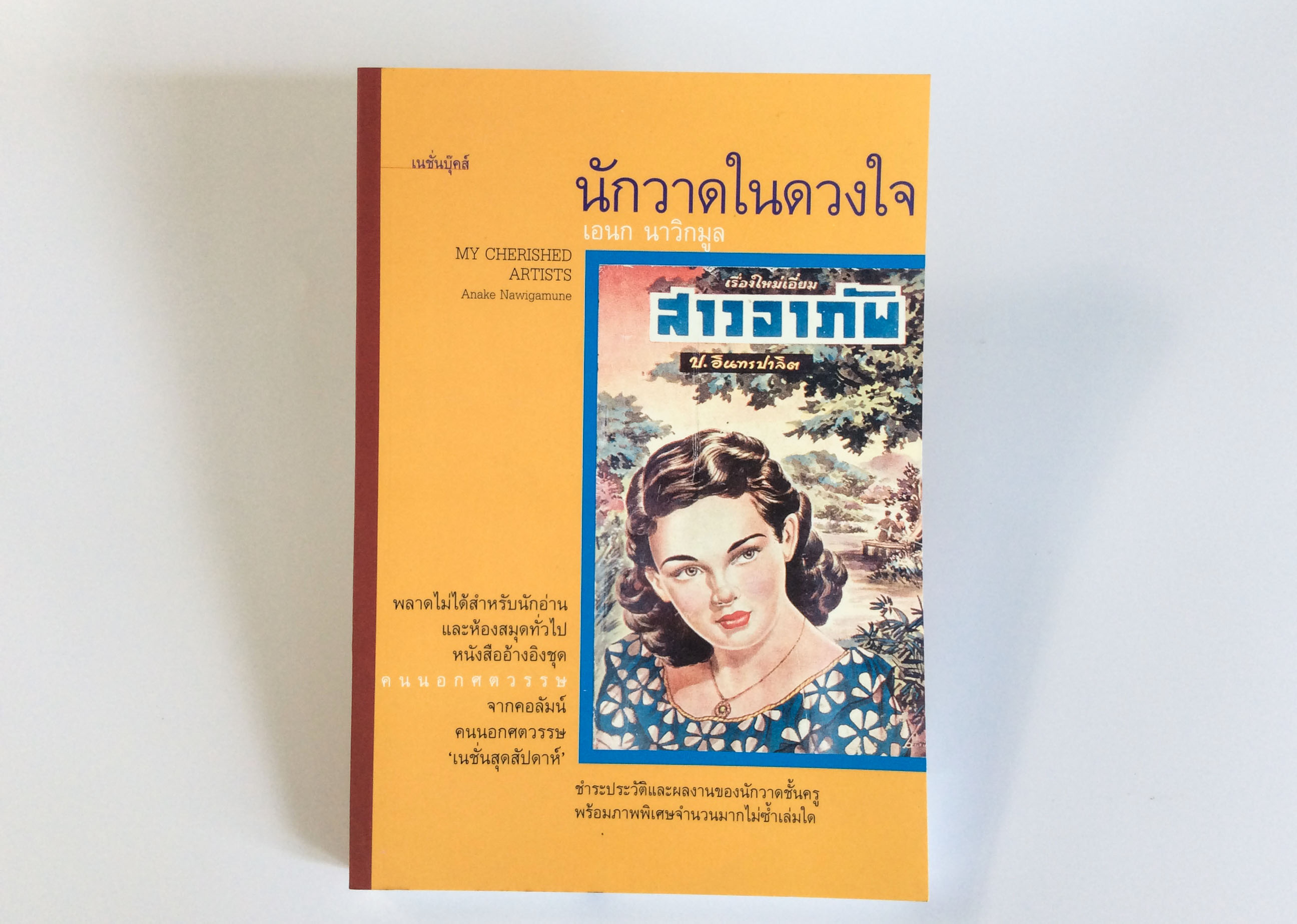 นักวาดในดวงใจ ชำระประวัติและผลงานของนักวาดชั้นครู หนังสือ ชีวประวัติ บุคคล