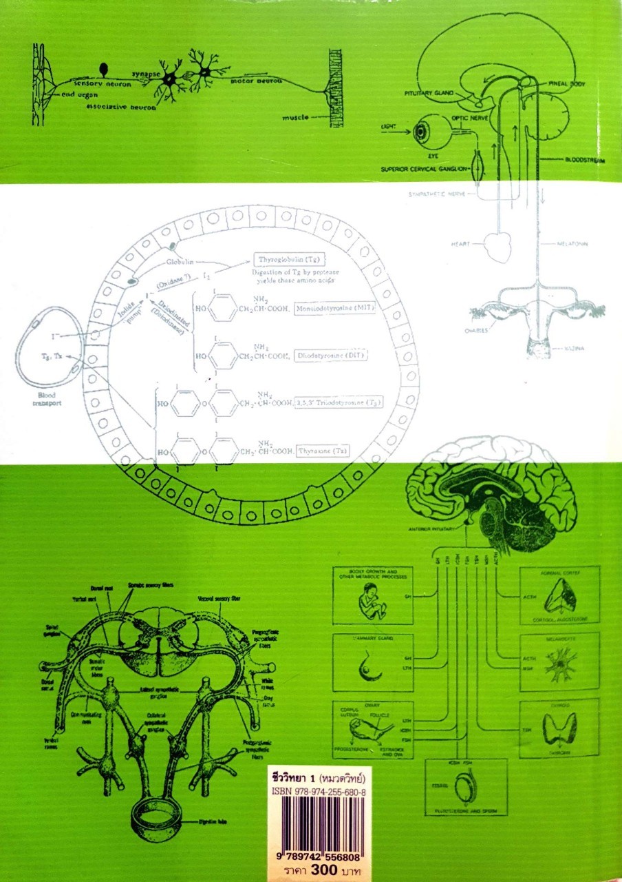 ชีววิทยา 1 : เชาว์ - พรรณี ชิโนรักษ์