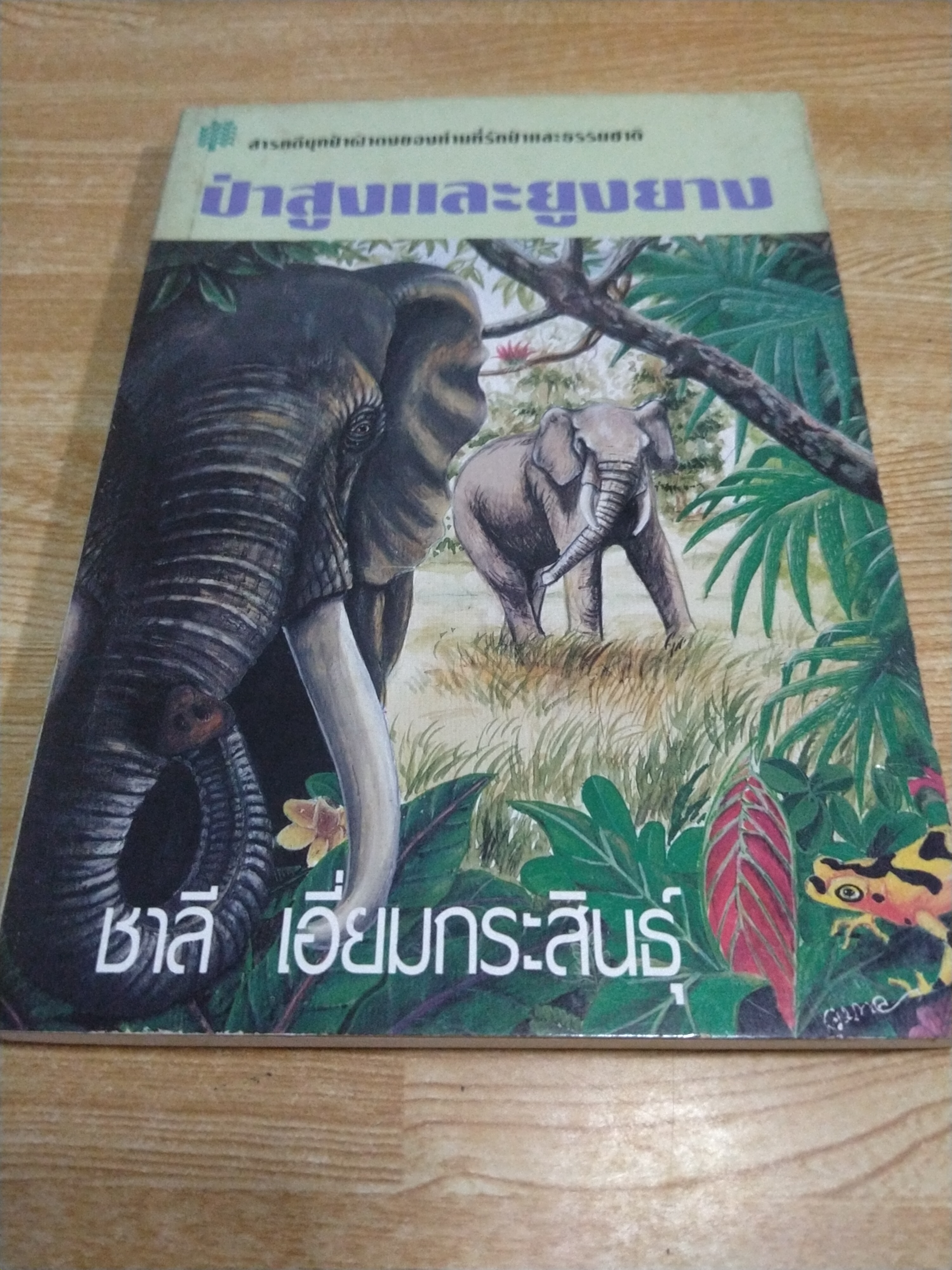 ป่าสูงและยูงยาง