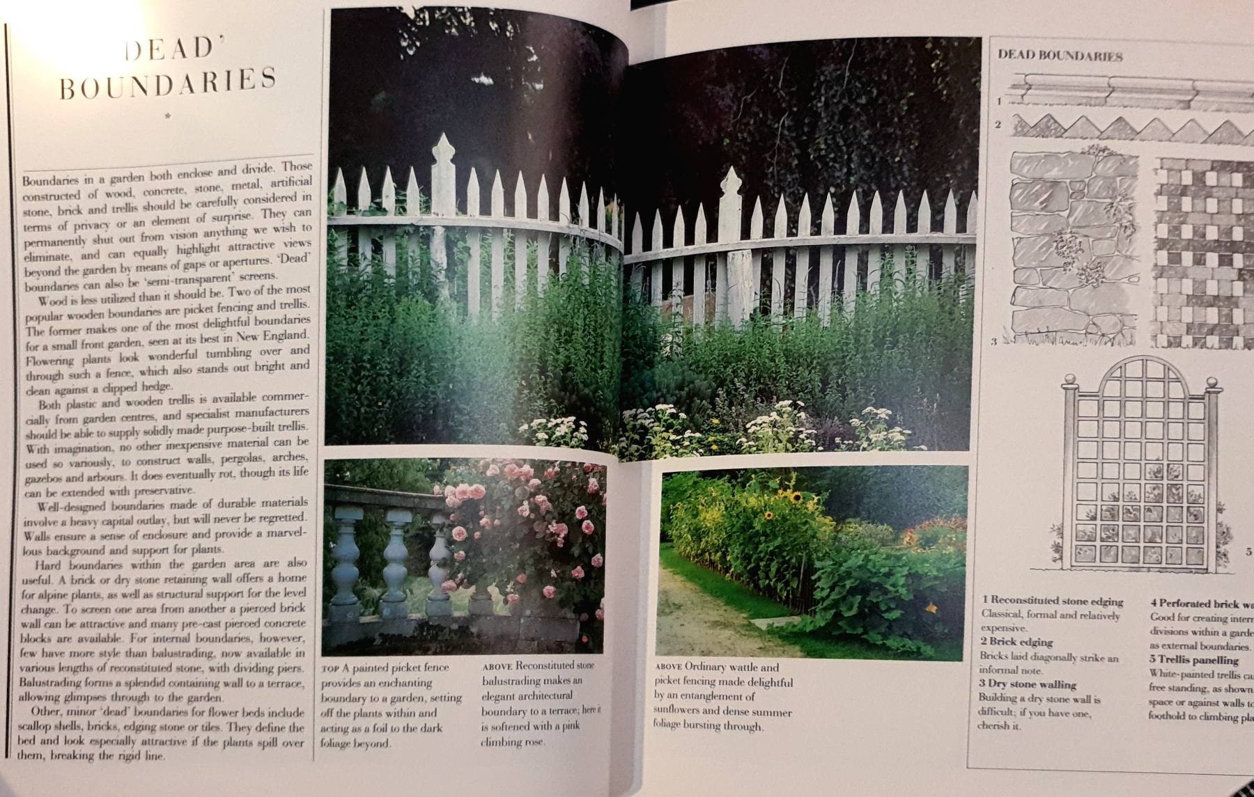 Creating Small Gardens : Roy Strong